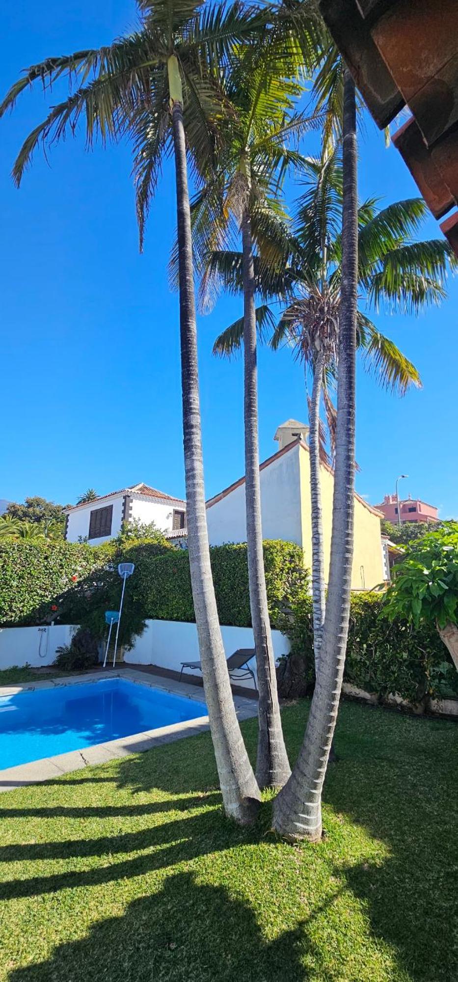 Villa La Paz Puerto de la Cruz  Exterior foto